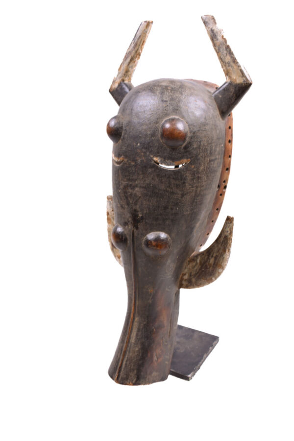 Warthog mask - Wood - Ligbi - Ivory Coast