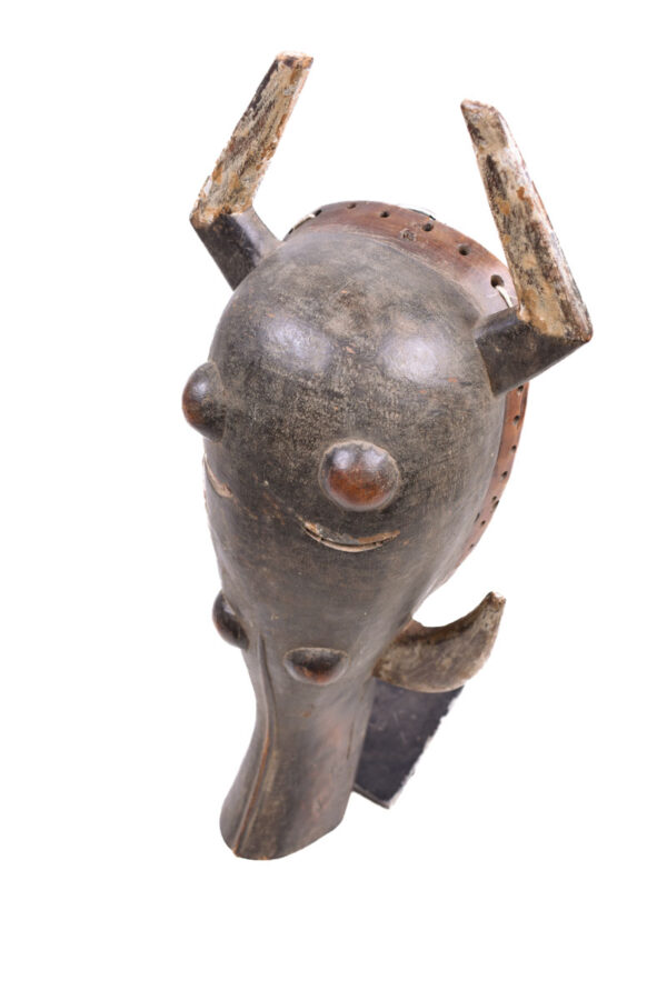 Warthog mask - Wood - Ligbi - Ivory Coast