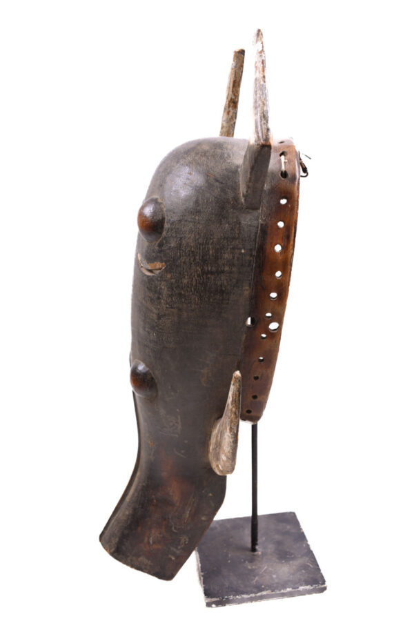 Warthog mask - Wood - Ligbi - Ivory Coast