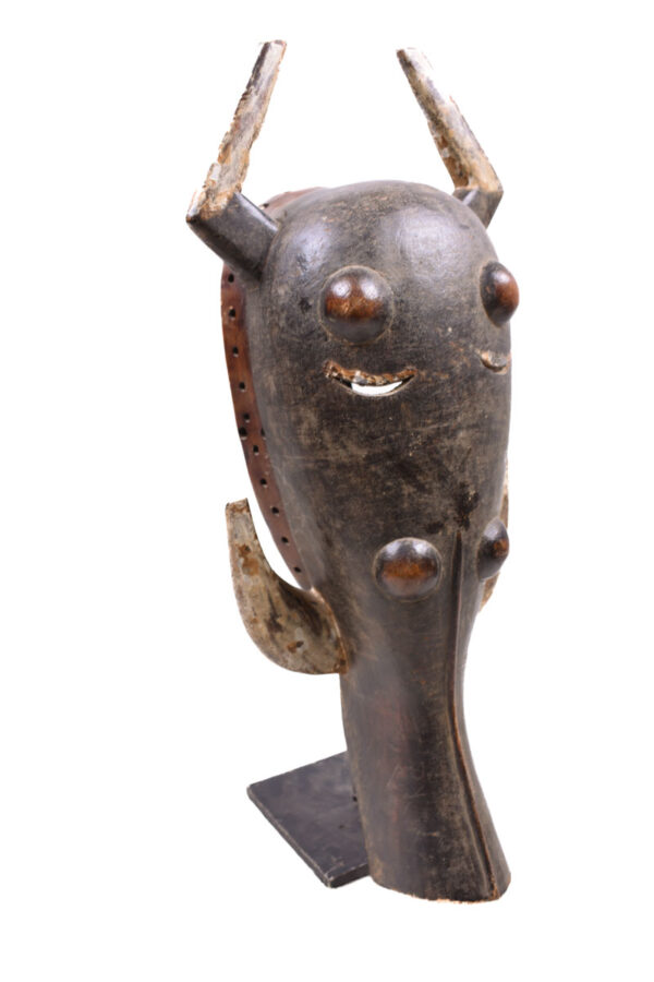 Warthog mask - Wood - Ligbi - Ivory Coast