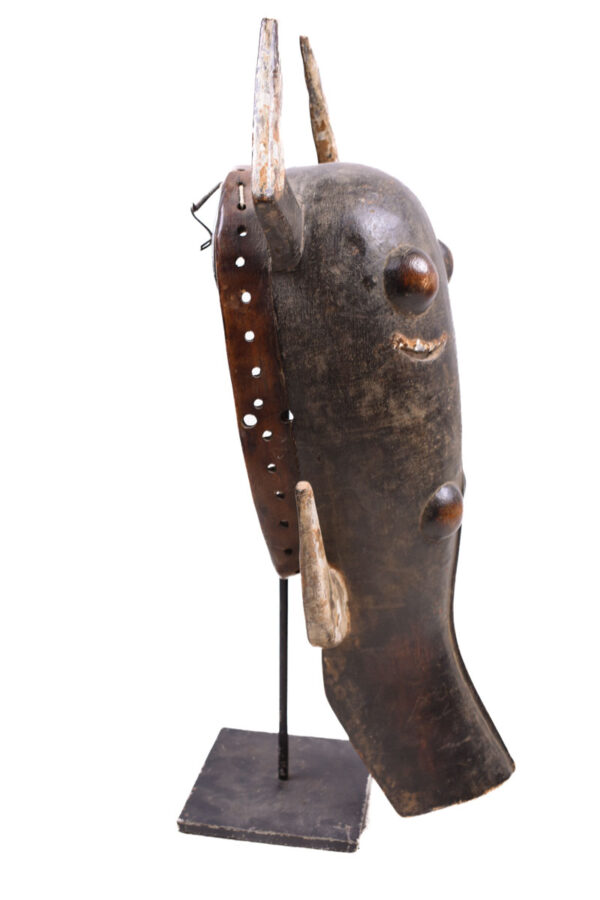 Warthog mask - Wood - Ligbi - Ivory Coast