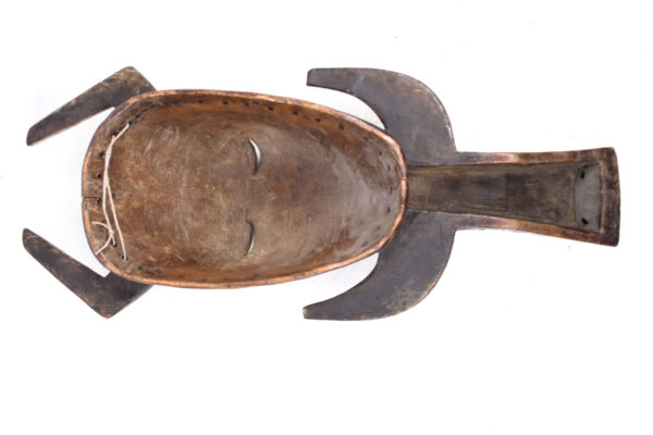 Warthog mask - Wood - Ligbi - Ivory Coast