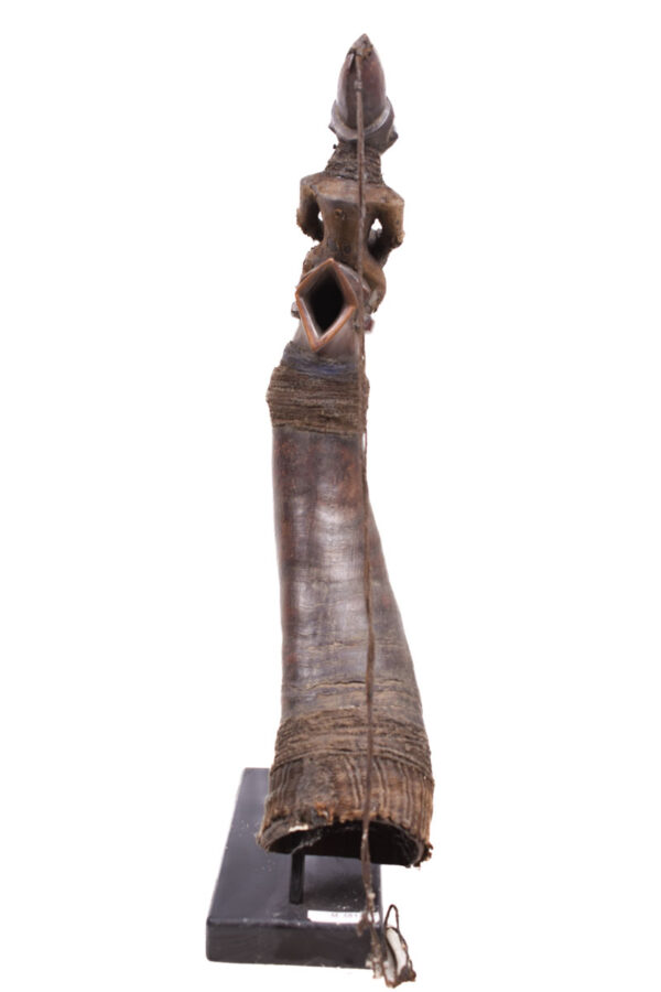 Horn - Buffalo horn - Yaka - DR Congo