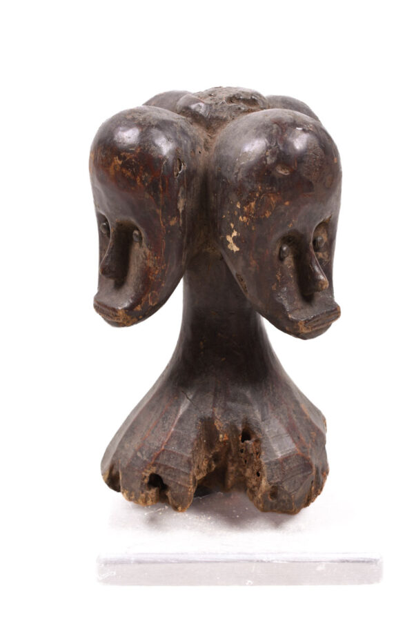 Reliquary Byeri Figure - Wood - Fang - Gabon