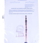Power stick / Scepter - Wood - Bemba - Congo / Tanzania - Schädler certificate
