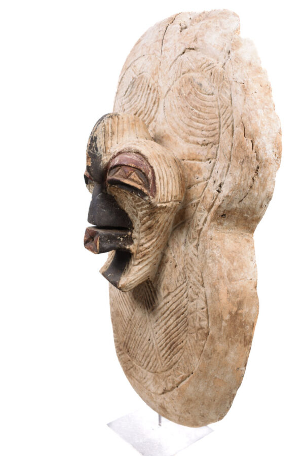 Shield - Wood - Songye - DR Congo