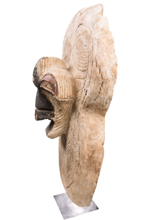 Shield - Wood - Songye - DR Congo