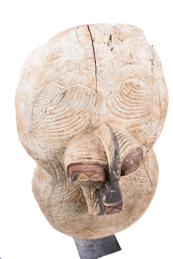Shield - Wood - Songye - DR Congo