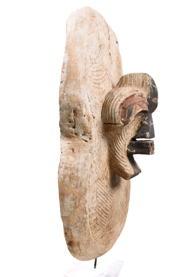 Shield - Wood - Songye - DR Congo