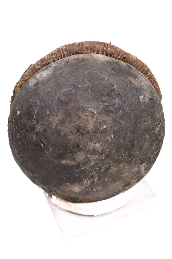 Divination Bowl - Wood, Terracotta - Songye - Congo