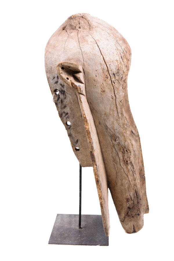 Mask - Wood - Fang - Gabon