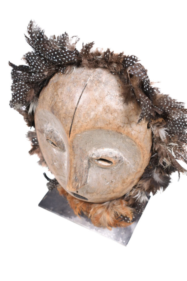 Mask - Wood - Lega, Feathers - Congo