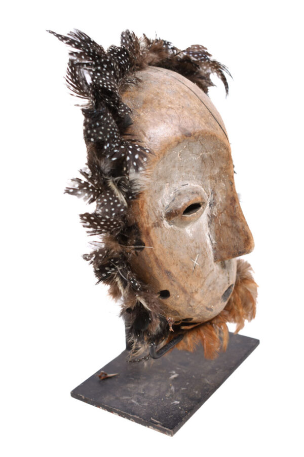 Mask - Wood - Lega, Feathers - Congo
