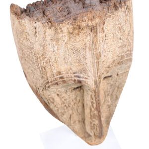 Ngil mask - Wood - Fang - Gabon
