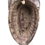 Dance mask - Wood - Baule - Ivory Coast