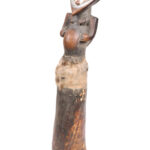 Horn - Buffalo horn - Kwele - DR Congo