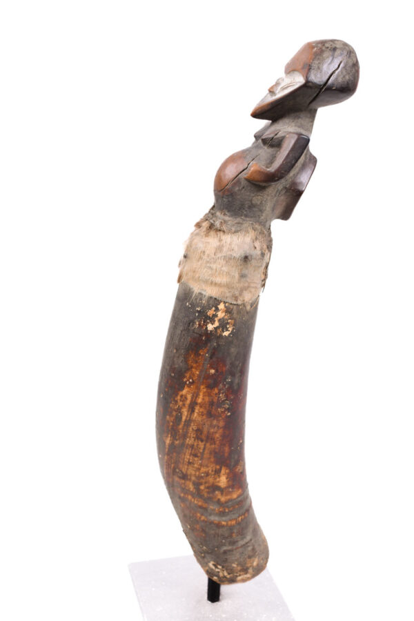 Horn - Buffalo horn - Kwele - DR Congo