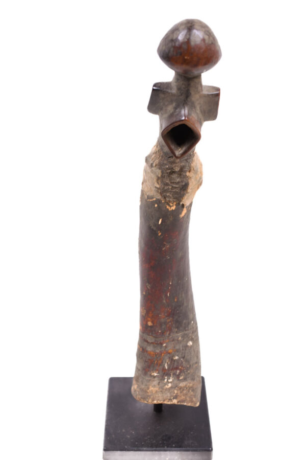 Horn - Buffalo horn - Kwele - DR Congo