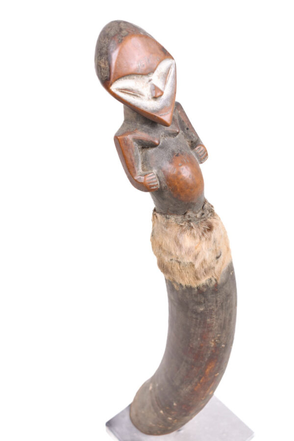 Horn - Buffalo horn - Kwele - DR Congo