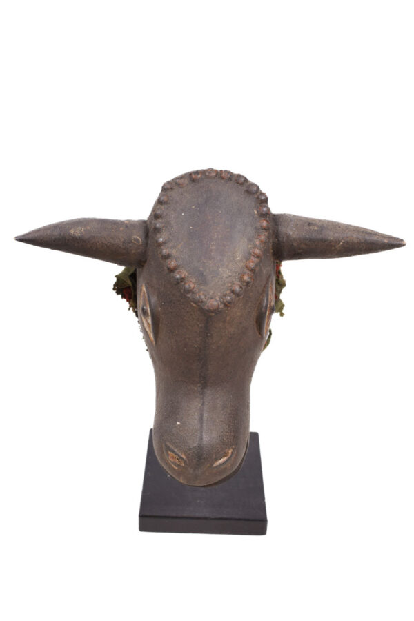 Bulll mask - Wood - Bidjogo - Guinee Bissau