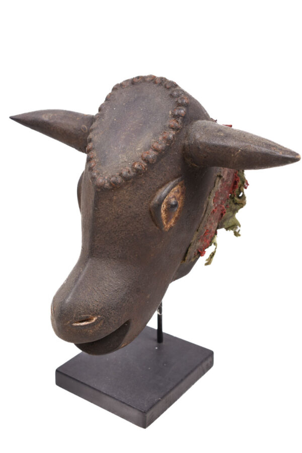Bulll mask - Wood - Bidjogo - Guinee Bissau
