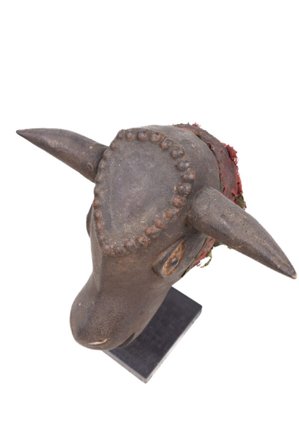 Bulll mask - Wood - Bidjogo - Guinee Bissau