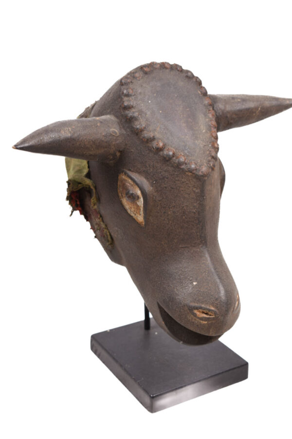 Bulll mask - Wood - Bidjogo - Guinee Bissau