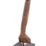 Phallus- Wood - Congo