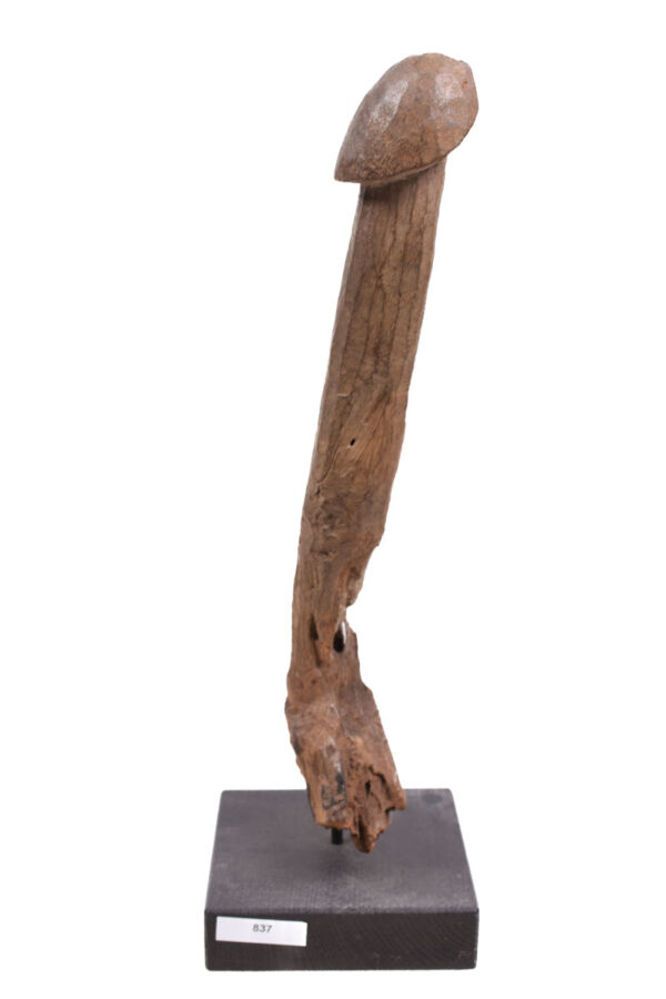 Phallus- Wood - Congo