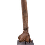Phallus- Wood - Congo