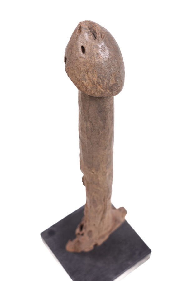 Phallus- Wood - Congo