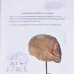Mask - Wood - Jukun / Jompre - Nigeria - Schädler certificate