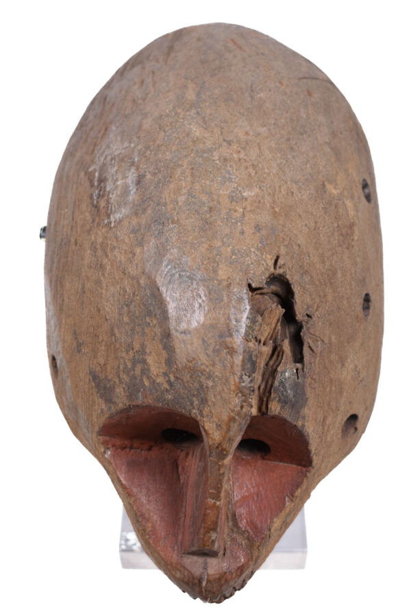 Mask - Wood - Jukun / Jompre - Nigeria - Schädler certificate