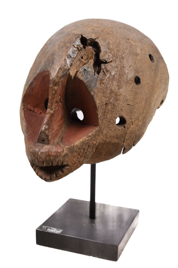 Mask - Wood - Jukun / Jompre - Nigeria - Schädler certificate