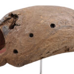 Mask - Wood - Jukun / Jompre - Nigeria - Schädler certificate