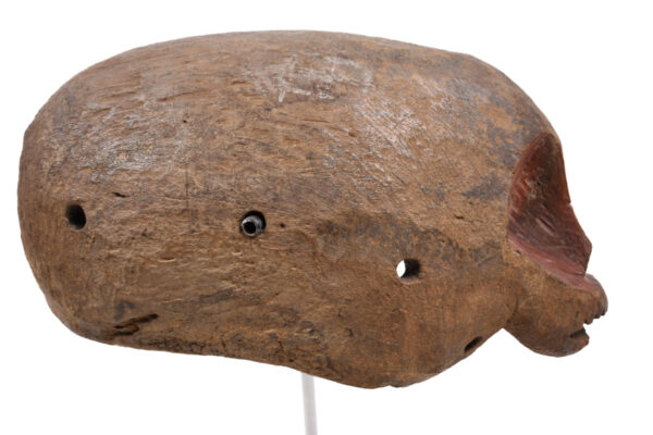 Mask - Wood - Jukun / Jompre - Nigeria - Schädler certificate