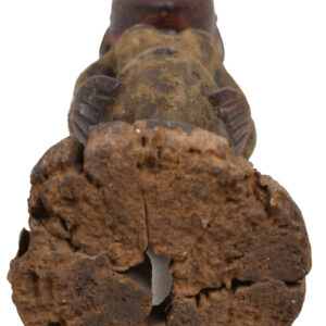 Ancestor Figure - Wood, Antelope skin - Ekoi - Nigeria - Image 9