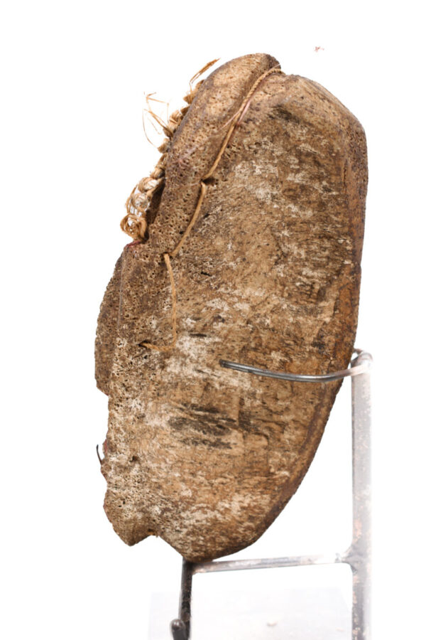 Head - Bone - Lega - DR Congo