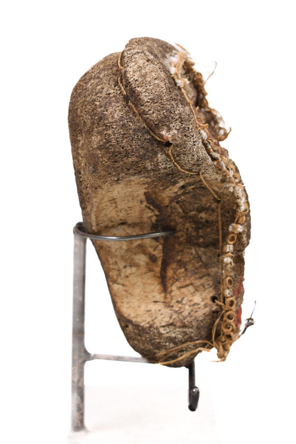 Head - Bone - Lega - DR Congo