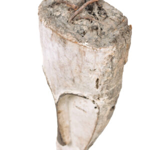 Ngil mask - Wood - Fang - Gabon
