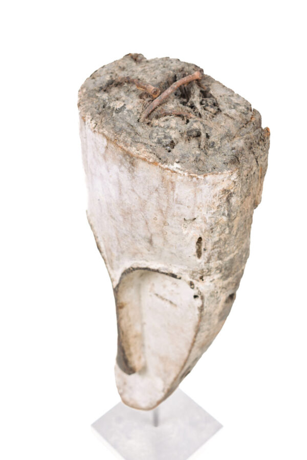 Ngil mask - Wood - Fang - Gabon