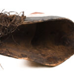Mask - Wood - Kifwebe - Songye - Congo DRC