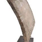 Divination board - Wood - Yoruba - Nigeria