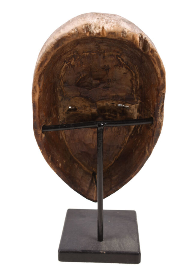 Mask - Wood - Fang - Gabon