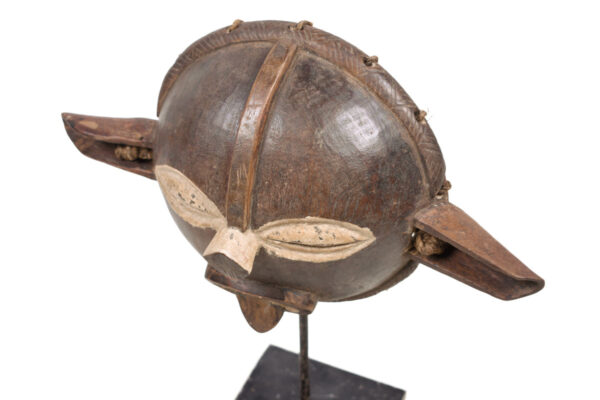 Panya Ngombe mask - Wood - Pende - Congo