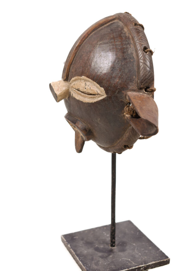 Panya Ngombe mask - Wood - Pende - Congo