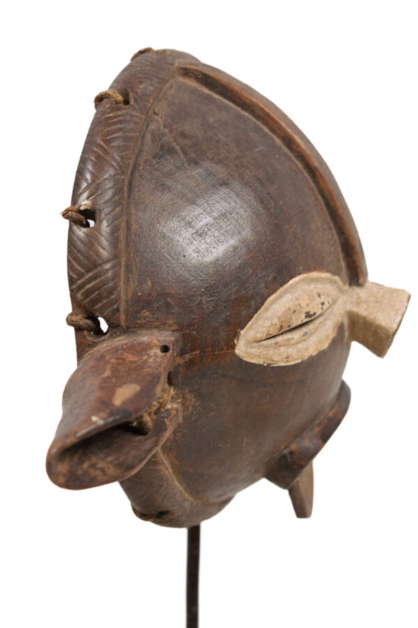 Panya Ngombe mask - Wood - Pende - Congo