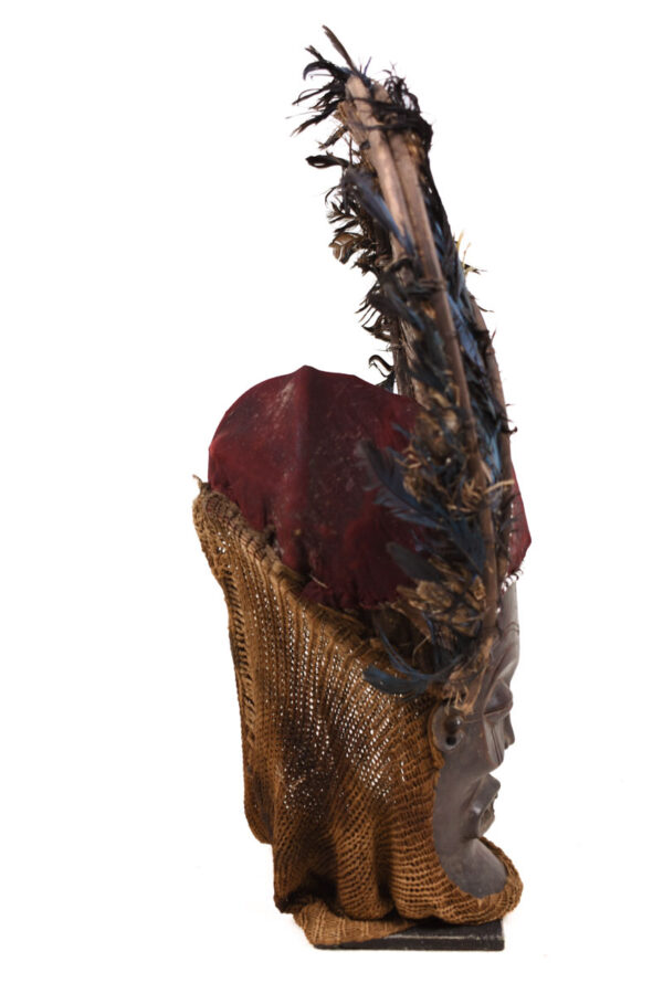 Chihongo Mask - Feathers, Wood - Chokwe - DR Congo