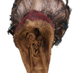 Chihongo Mask - Feathers, Wood - Chokwe - DR Congo