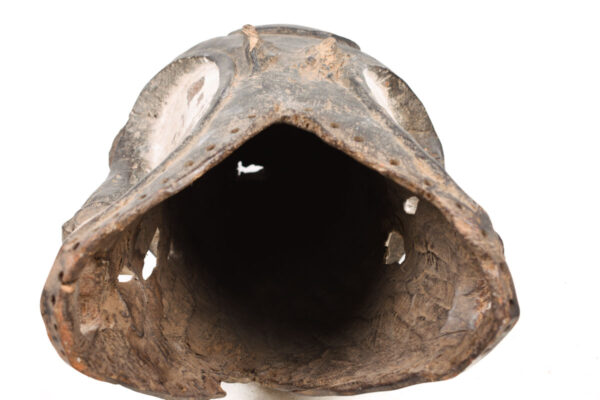 Helmet mask - Wood - Ngongtang - Fang - Gabon